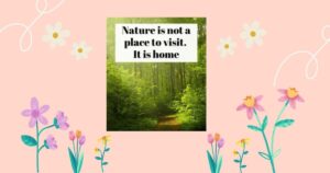 Nature Quotes for Instagram to Inspire Your Next Outdoor Post